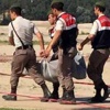Sevgilisini öldürüp kendini kuleye astı