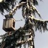 Trabzon da kar temizleme çalışmaları Trabzon da kar temizleme çalışmaları