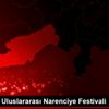 7. Mersin Uluslararası Narenciye Festivali
