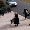 Biden sahiplendiği köpekler Beyaz Saray'a getirildi Biden sahiplendiği köpekler Beyaz Saray'a getirildi