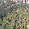 Validebağ Korusu'nda ürküten tehlike Validebağ Korusu'nda ürküten tehlike
