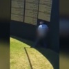 İsrail'in gündemi asker anıtının önünde seks İsrail'in gündemi asker anıtının önünde seks