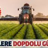 Çiftçilere dopdolu güvence: Tarım sigortasına 2.1 milyon adetlik rekor başvuru Çiftçilere dopdolu güvence: Tarım sigortasına 2.1 milyon adetlik rekor başvuru