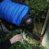 Rize'de yavru kedi operasyonu Rize'de yavru kedi operasyonu