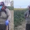 Tekirdağlı anne tarlada gözyaşlarına boğuldu: Polis oğluna ve sağlık çalışanı gelinine seslendi Tekirdağlı anne tarlada gözyaşlarına boğuldu: Polis oğluna ve sağlık çalışanı gelinine seslendi