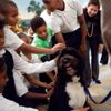 ﻿Barack Obama'nın köpeği Bo öldü