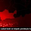 Mersin de sakat kedi ve köpek yürüteçle hayata tutundu Mersin de sakat kedi ve köpek yürüteçle hayata tutundu