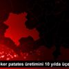 Konya Şeker patates üretimini 10 yılda üçe katladı Konya Şeker patates üretimini 10 yılda üçe katladı