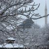 Karlıova'da kar etkili oluyor Karlıova'da kar etkili oluyor