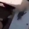 Hizmetçisi can çekişirken video çekti Hizmetçisi can çekişirken video çekti