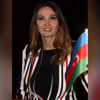Azerbaycan milletvekili: 'Devletimizin hava sahası bizim şerefimizdir' Azerbaycan milletvekili: 'Devletimizin hava sahası bizim şerefimizdir'