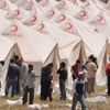 ‘Suriyeli sığınmacılar araştırılsın’