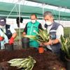 Yaşam Bahçesi ndeki bitkilerin üretimi başladı