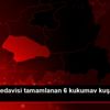 Şırnak ta tedavisi tamamlanan 6 kukumav kuşu doğaya ... Şırnak ta tedavisi tamamlanan 6 kukumav kuşu doğaya ...