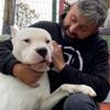 Recep Bayraktar kimdir? Recep Bayraktar köpekleri cinsi nedir?