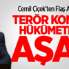 Çiçek: Terör Konusu Hükümetleri Aşar