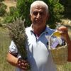 İstanbul'dan köyüne döndü, lavanta yetiştiriciliğine başladı İstanbul'dan köyüne döndü, lavanta yetiştiriciliğine başladı
