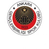 Gençler'de hazırlıklar sürüyor Gençler'de hazırlıklar sürüyor