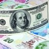 Dolar, kriz tellallarını şaşırtıyor