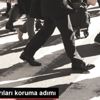 AP den arıları koruma adımı