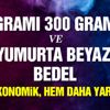 EA SAKIZ KABAĞI PROTEİNİ EA SAKIZ KABAĞI PROTEİNİ
