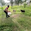 Sokaktaki canlar unutulmadı Sokaktaki canlar unutulmadı