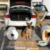 Lüks otomobile yapılan uyuşturucu operasyonunda 54 kg eroin ile 8 kg afyon sakızı ele geçirildi Lüks otomobile yapılan uyuşturucu operasyonunda 54 kg eroin ile 8 kg afyon sakızı ele geçirildi
