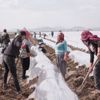 Tarım işçileri mesaide Tarım işçileri mesaide