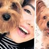 Otobüsün bagajına konulan köpek öldü