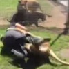 Video: Brezilya'da Bir Hapishanede İsyan Çıktı Video: Brezilya'da Bir Hapishanede İsyan Çıktı