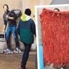 Portresini görmek 5 Euro Portresini görmek 5 Euro