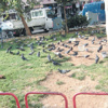 Parklarla bahara yaklaşmak Parklarla bahara yaklaşmak