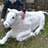 Kardan adam değil boğa yaptı Kardan adam değil boğa yaptı