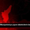 ÇAYKUR, Mezopotomya çayını tüketicilerin beğenisine ... ÇAYKUR, Mezopotomya çayını tüketicilerin beğenisine ...