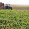 Tarımdaki maliyet artışı tam gaz