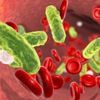 Sepsis nedir? Sepsisten korunmak mümkün mü? (13 Eylül Dünya Sepsis Günü) Sepsis nedir? Sepsisten korunmak mümkün mü? (13 Eylül Dünya Sepsis Günü)