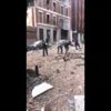 Almanya'da erkek civcivlerin itlafı yasaklanacak Almanya'da erkek civcivlerin itlafı yasaklanacak