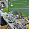 Ramazan ayında balıkçı esnafı satışlarından memnun Ramazan ayında balıkçı esnafı satışlarından memnun