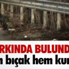 (Özel Haber) Şehit Annesini Kahreden Uçak Kazası (Özel Haber) Şehit Annesini Kahreden Uçak Kazası