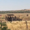 DAEŞ sınır hattına mayın döşedi DAEŞ sınır hattına mayın döşedi