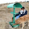 Talas ta sokak hayvanlarına yardım eli Talas ta sokak hayvanlarına yardım eli
