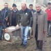 Yaralı Tilki tedavi altına alındı Yaralı Tilki tedavi altına alındı