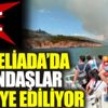 ﻿Yangın bölgesi Heybeliada'da vatandaşlar tahliye ediliyor