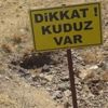 Köpek kuduz çıktı, köy karantinada!