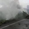 Ot yüklü kamyon yola devrildi Ot yüklü kamyon yola devrildi