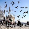 İstanbul'da bayramda yağış beklenmiyor İstanbul'da bayramda yağış beklenmiyor