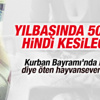 Yılbaşında 500 bin hindi kesilecek