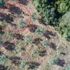﻿Kaçak avcılar dronla yakalandı