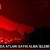 ADALAR DA ATLARI SATIN ALMA İŞLEMİ BAŞLADI