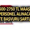 BİM ve A101 2500-2750 TL maaşla personel alacak! İşte başvuru şartları BİM ve A101 2500-2750 TL maaşla personel alacak! İşte başvuru şartları